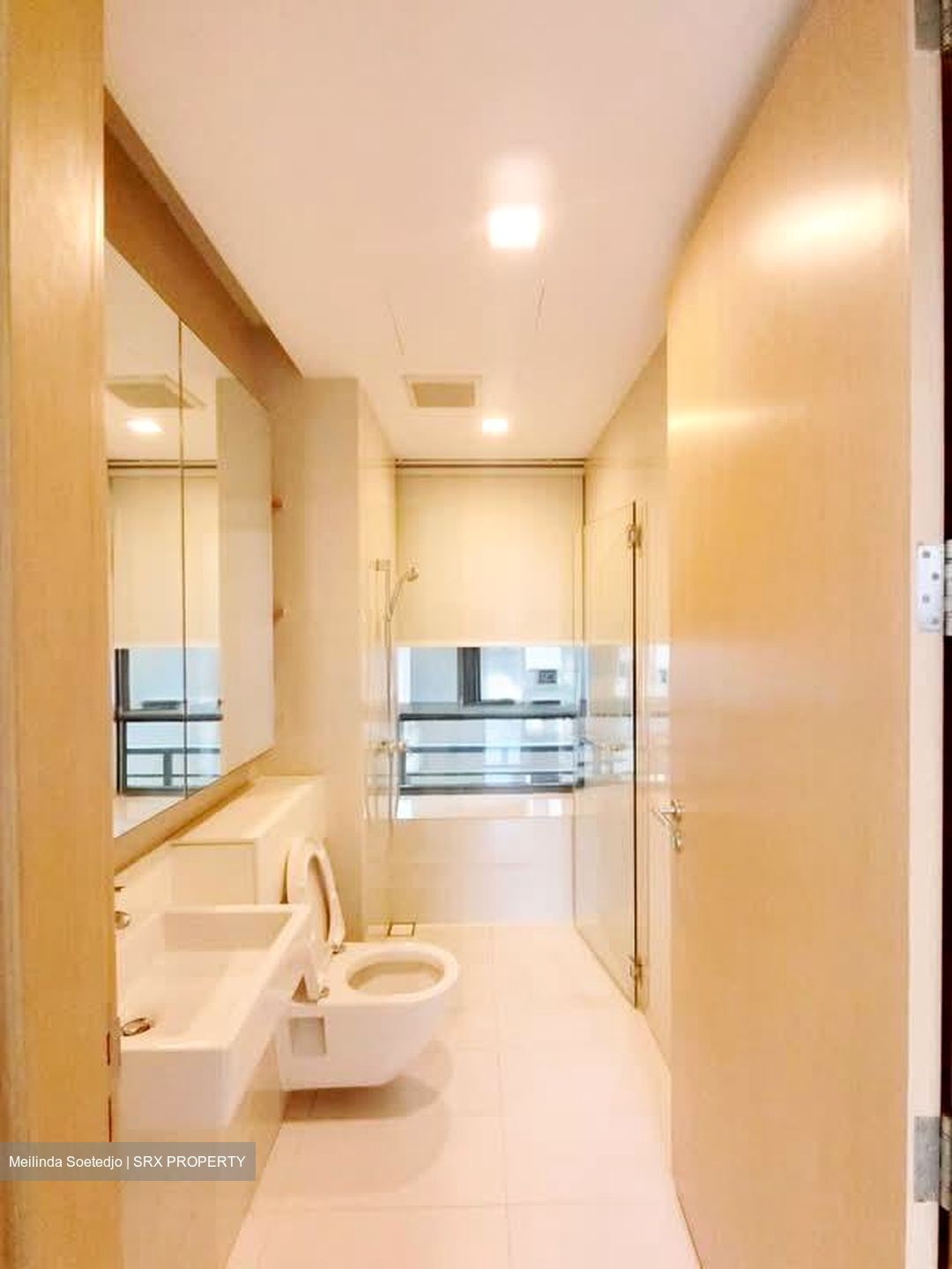 Soleil @ Sinaran (D11), Condominium #586152461
